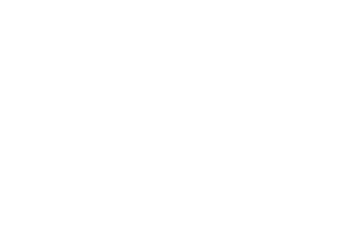 logotipo-NDI